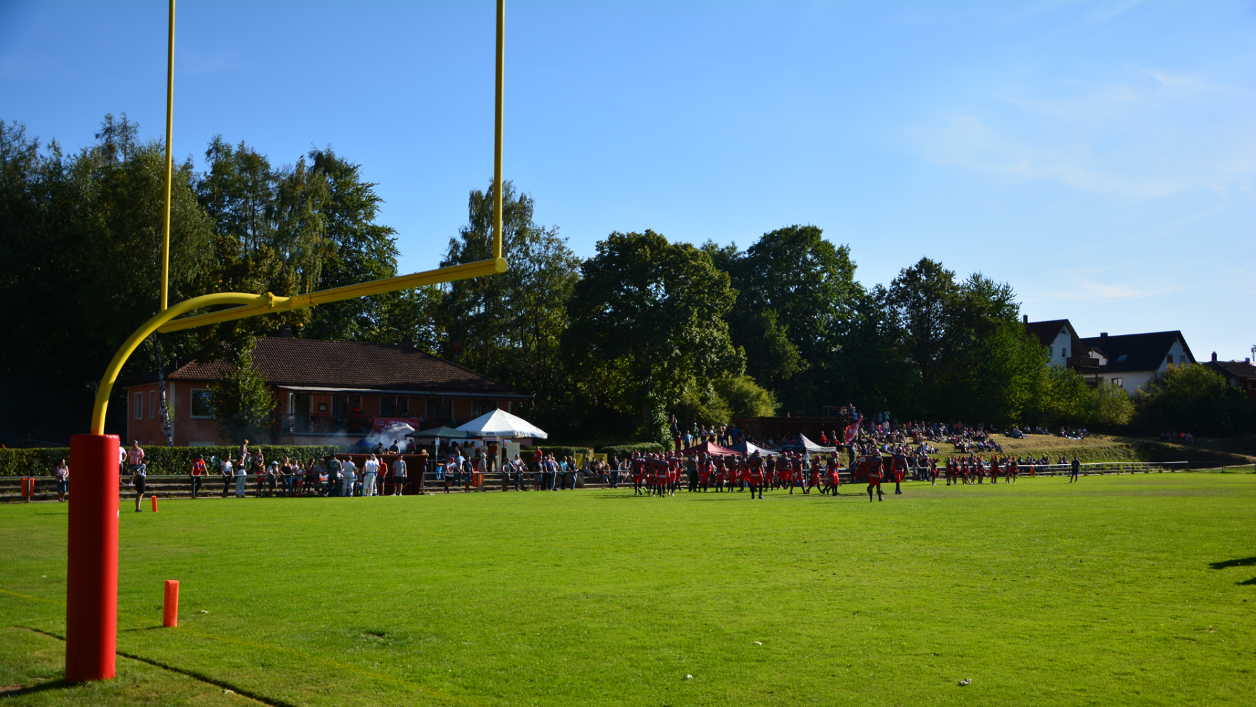 Rhinos Field